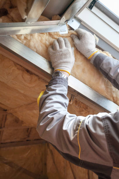 Best Insulation Maintenance and Repair in Amsterdam, NY