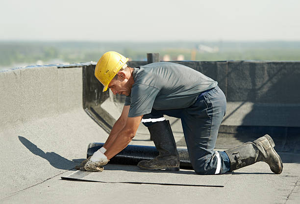 Best Eco-Friendly Insulation in Amsterdam, NY