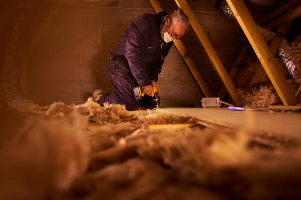 Best Cellulose Insulation in Amsterdam, NY